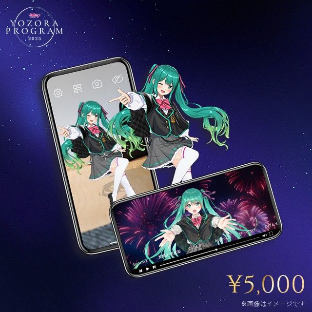 「初音ミク 夜空プログラム 2025 音楽大花火特別配信チケット」 5,000円 プラン