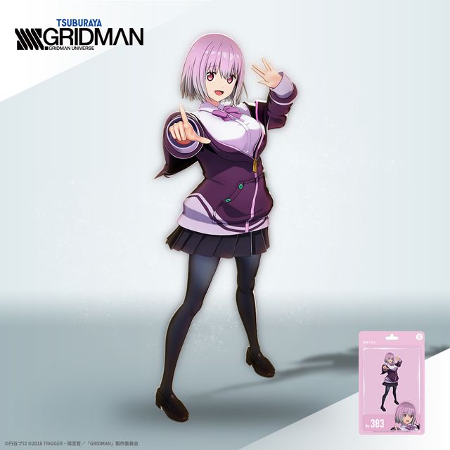 新条アカネ（水着衣装） ホロモデル本体 『SSSS.GRIDMAN』 | X