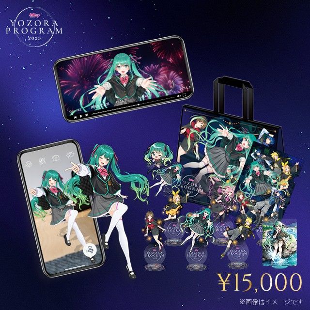 初音ミク 夜空プログラム 2025 音楽大花火特別配信チケット」 10,000円